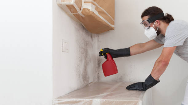 Professional Black Mold Remediation technician working in Lignum, VA