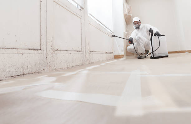 24/7 Emergency Black Mold Remediation experts in Lignum, VA