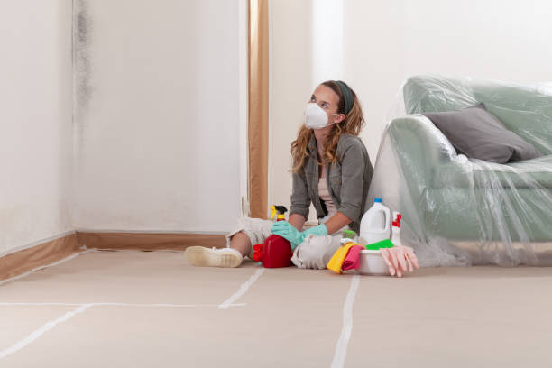 Reliable Black Mold Remediation contractor in Lignum, VA by 24 Hour Mold Removal